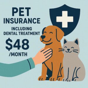 pet insurance including dental treatment cost